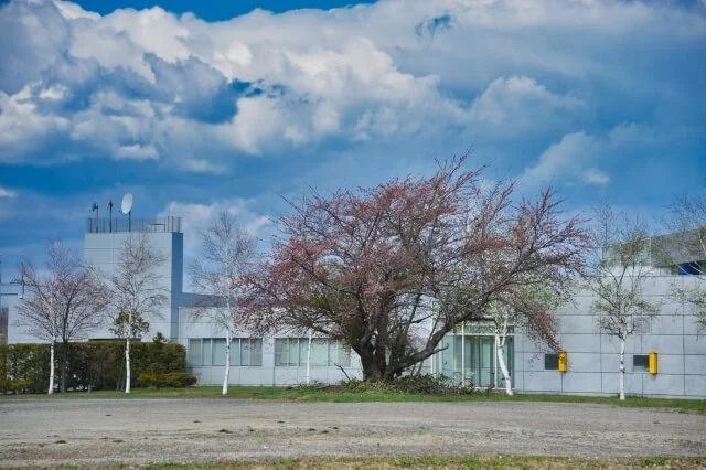 石狩市民図書館の写真