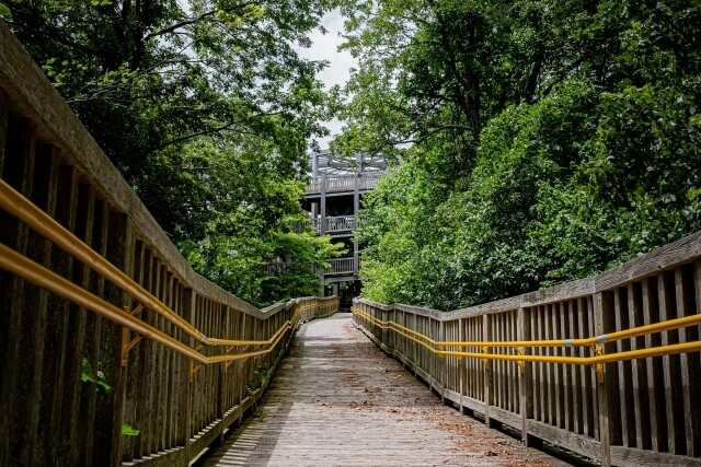 いわみざわ公園の見晴展望台へと通ずる道の写真。