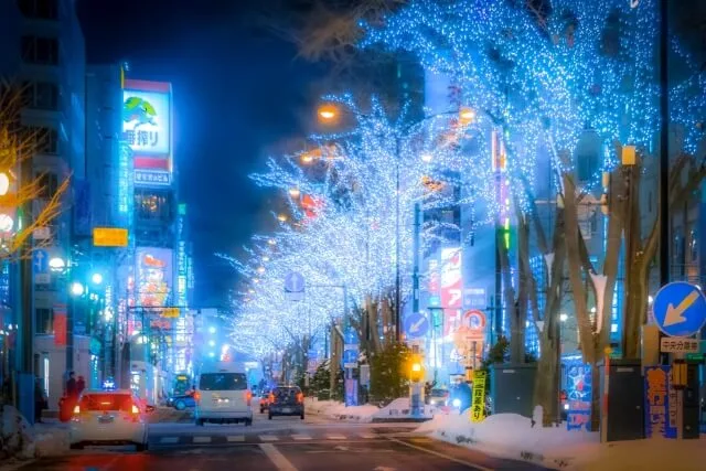 札幌駅前通に並んだ、綺麗な街路樹のイルミネーションの写真