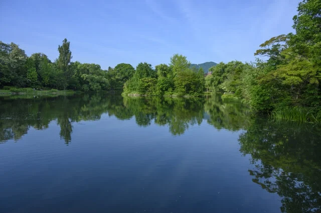 札幌市中央区にある、中島公園の綺麗な池の写真