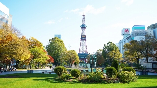 中央区大通公園から見上げるさっぽろテレビ塔の写真