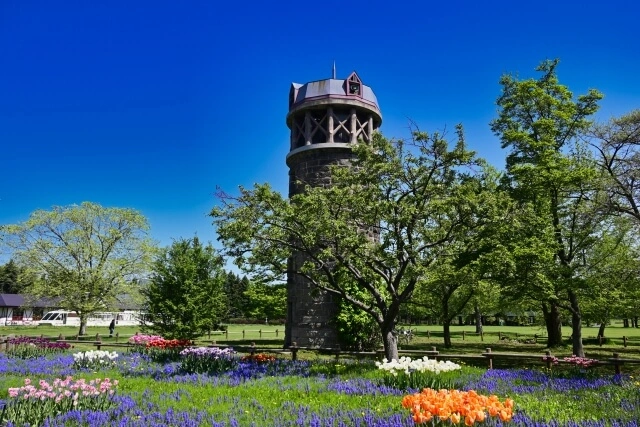 札幌市北区百合が原公園の写真