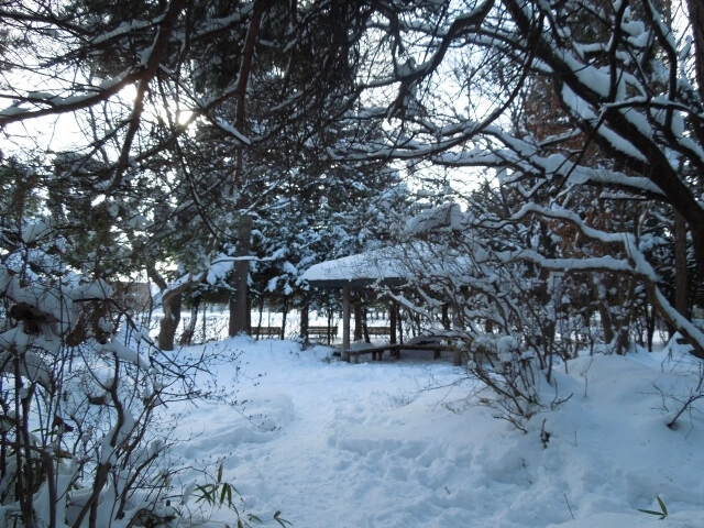 清田公園の写真