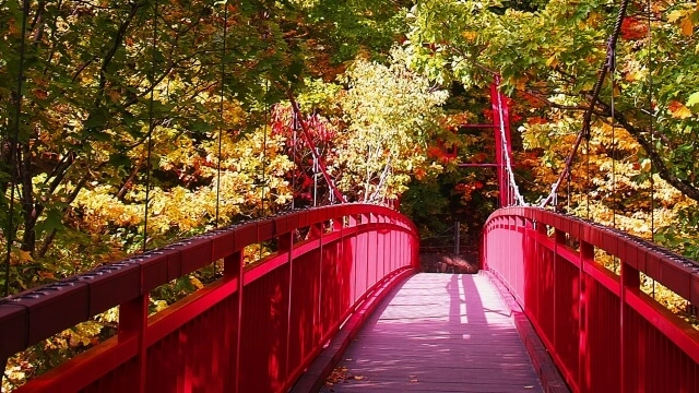 札幌市南区定山渓二見吊橋の写真