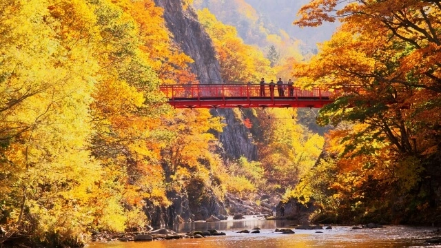 札幌市南区定山渓温泉の二見吊橋と紅葉の写真