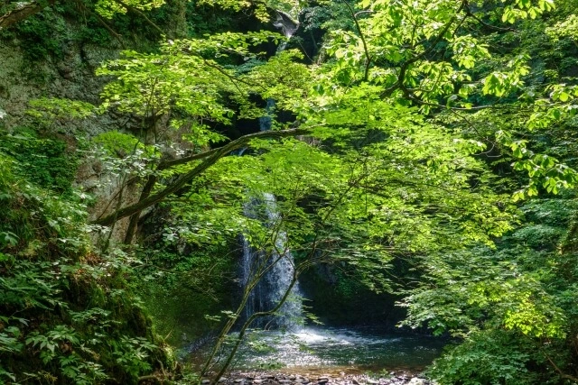 札幌市手稲区星置の滝の写真