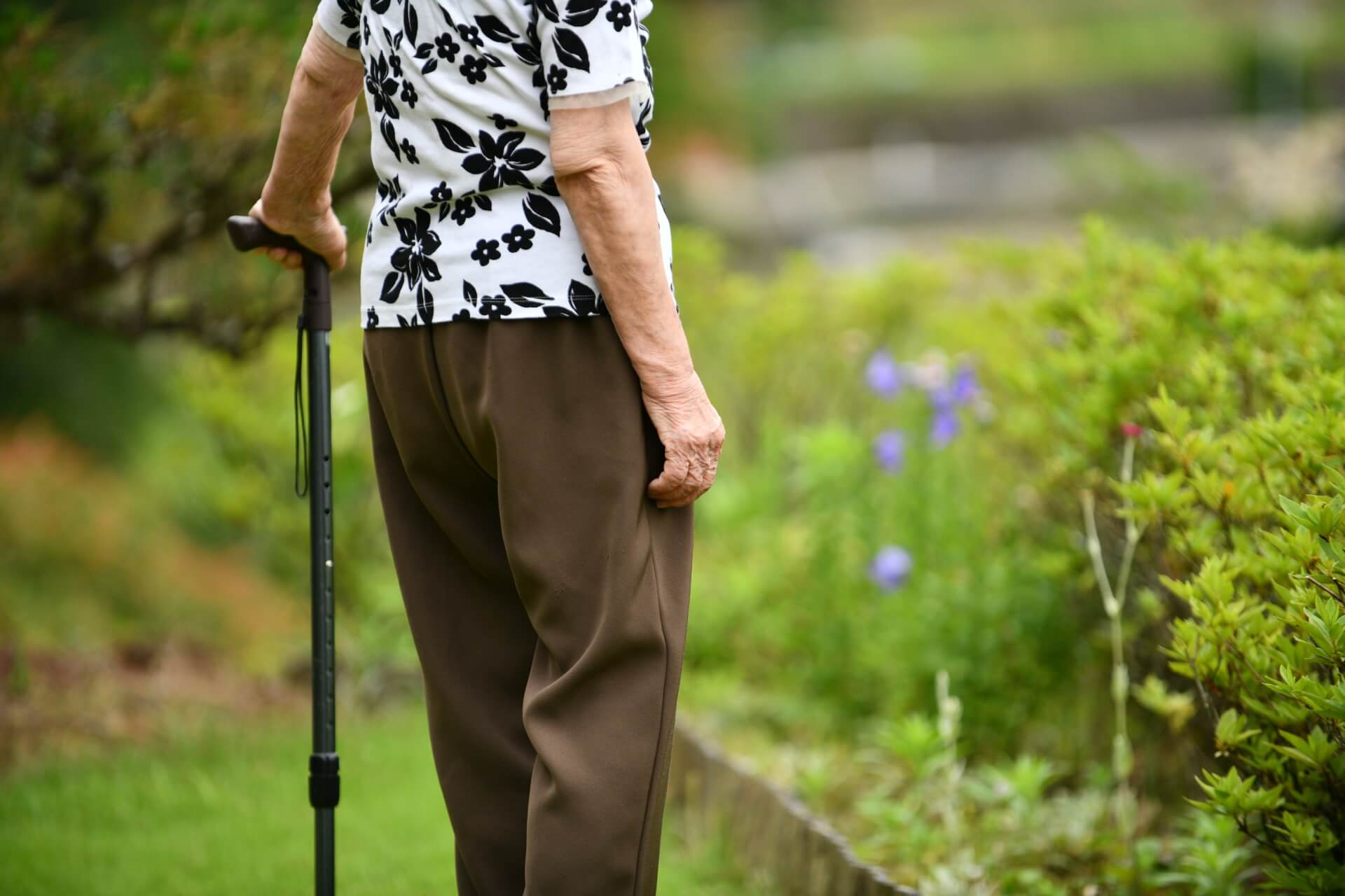 ご高齢の女性が、杖をつきながら緑豊かな自然の中で散歩している写真